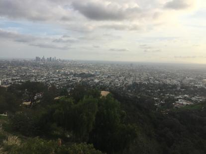 Los Angeles from Griffith Park during the day
