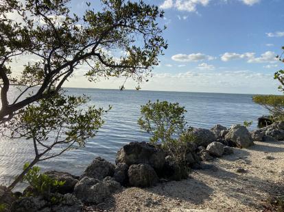 Founderâ€™s Park Trail 2020 Keys Florida