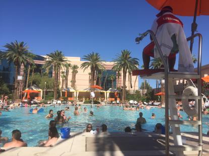 Pool at MGM Grand