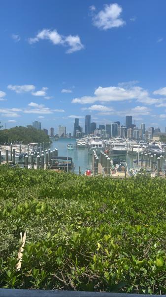 The view of the marina from Whiskey Joe’s 2022 #food
