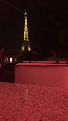 The view of the Eiffel Tower from the patio of the Cafe de l'Homme inside the museum. 