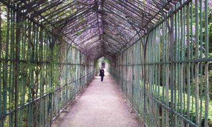 One of the paths through the gardens of Versailles. This covered pathway leads to the Quee