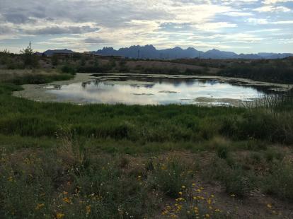 A pond in the desert with the Organ Mountains in the background. Near the playa overlook t