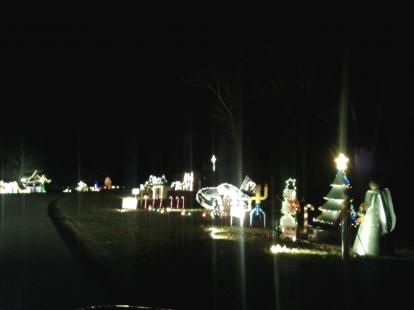Christmas  lights  around the lake.